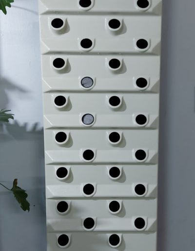 What's New Living wall